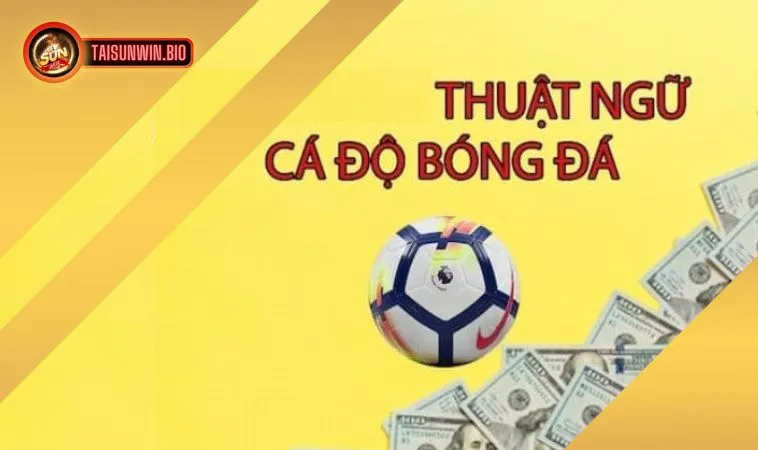 Thuật ngữ cá độ bóng đá dành cho người mới