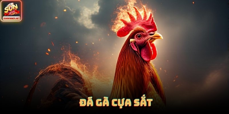 Đá Gà Cựa Sắt - Cơ Chế Trận Nhanh, Cách Đọc Phong Độ Tại Sunwin Đá Gà Cựa Sắt - Cơ Chế Trận Nhanh, Cách Đọc Phong Độ Tại Sunwin