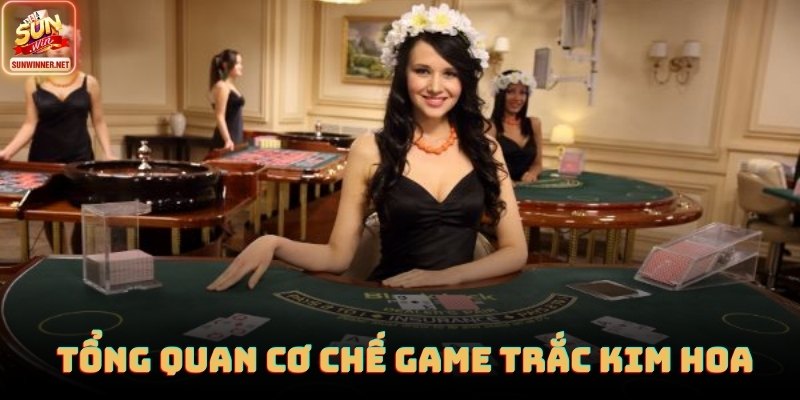 Trắc Kim Hoa - Giải Mã Cơ Chế, Thứ Hạng Tay Bài Tại SUNWIN Bàn chơi Trắc Kim Hoa mô phỏng chia ba lá với tốc độ ổn định